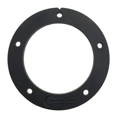 Quantum Fuel Pump Seal Gasket