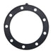 Quantum Fuel Pump Seal Gasket