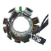 Stator Assorted Polaris Models '97-'01 [Refer to Fitments] (RM01007)
