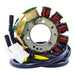 Stator Honda CB250 Nighthawk '91-'08 (RMS010-103816)