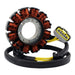 Stator Assorted Can-Am Models '20-'24 Refer to Fitment (RMS010-108353)