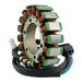 Generator Stator Suzuki Boulevard C90 '05-'09 (RM01195S)