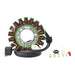 Generator Stator Triumph Daytona 675/SE '06-'17 (RM01390)