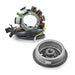 Kit Stator + Flywheel Assorted Polaris (Refer to Fitments) (RMS900-102180)