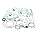 Vertex Complete Gasket Set with Oil Seals KTM