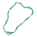 Inner Clutch - Side Cover Gasket Kit 817248