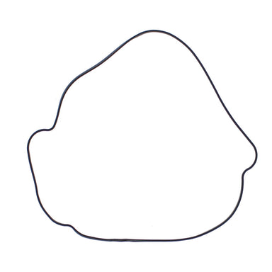 Outer Clutch Gasket Kit 817987