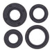OIL SEAL KIT 822168