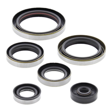 Oil Seal Kit 822269
