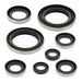 Oil Seal Kit 822274