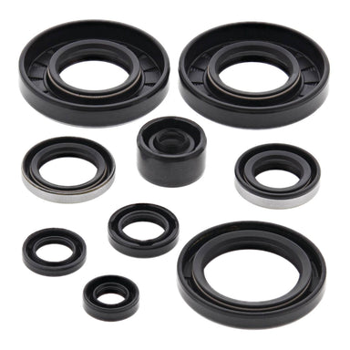 Oil Seal Kit 822292