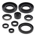 Oil Seal Kit 822292