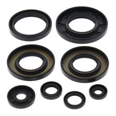 Oil Seal Kit 822349