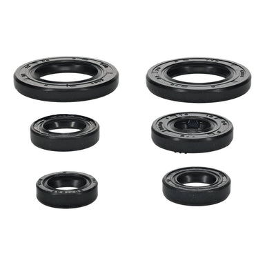 Oil Seal Kit 822391