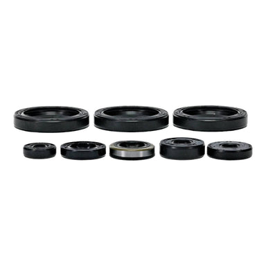 Oil Seal Kit 822403