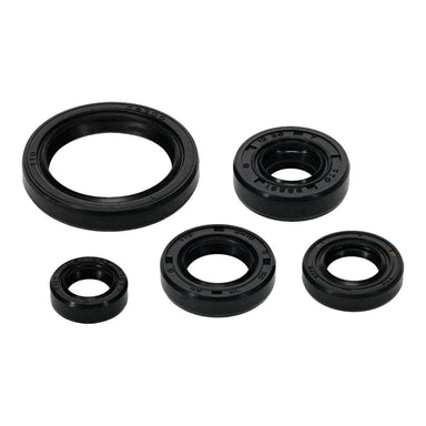 OIL SEAL KIT 822994