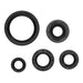 OIL SEAL KIT 822994