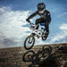 Michelin Pilot SX
