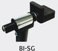 bi-sg