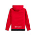 ALPINESTARS Parallel Hoodie