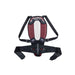 ALPINESTARS Nucleon Plasma Back Protector